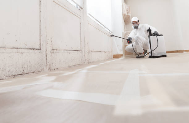 24/7 Emergency Black Mold Remediation experts in Vienna, GA